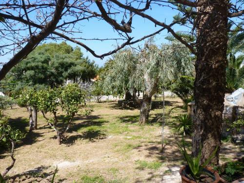 Apartamento L' Odyssee