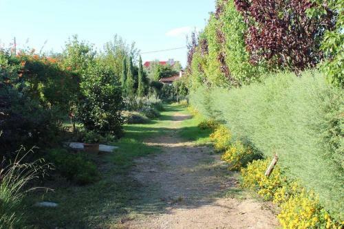 Apartamento Romalea's Cottages