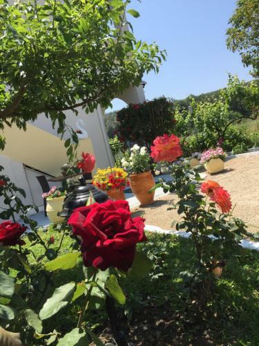 Apartamento Villa Maria