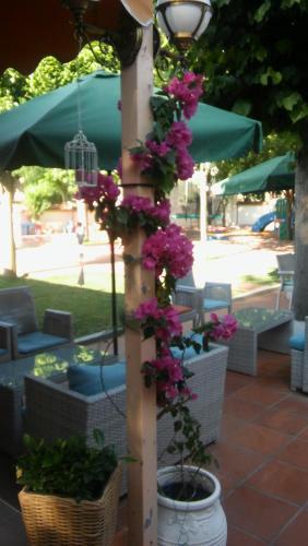 Nefeli Hotel