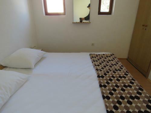 Apartments Evita