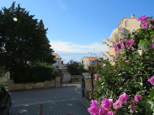 Apartments Evita