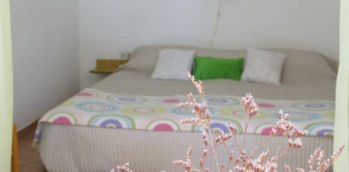 Apartments Evita