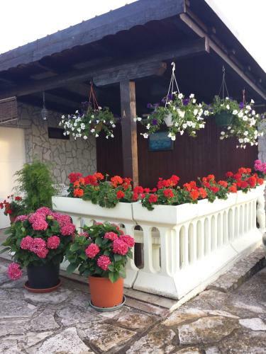 Apartments Lucija