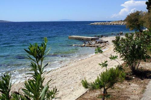 Apartment Mandre 4093b