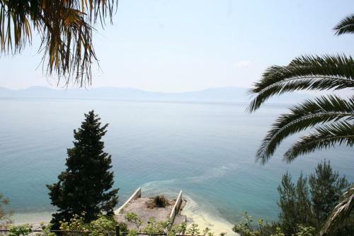 Apartment Zaostrog 2637b