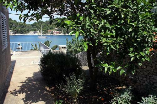 Seaside Holiday House Okuklje, Mljet - 4943