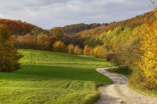 Mokus Valley