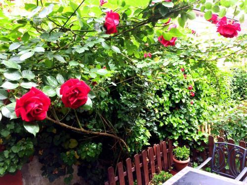 Hostal Eszterhazy Guesthouse