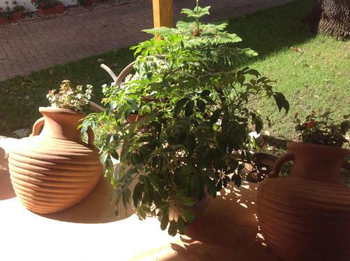 Hostal �regt�lgy Panzio