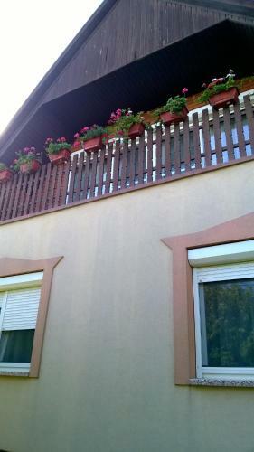 Hostal �va Vend�gh�z