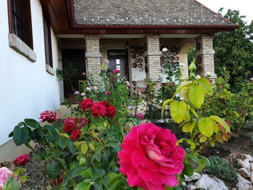 Hostal Decsi-hegyi Apartman