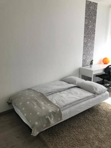 Apartamento Wanderer 1