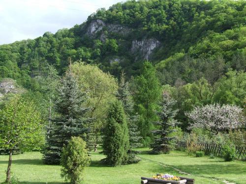Hostal Erd�sz Vend�gh�z