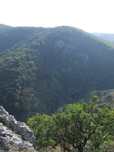 Hostal Erd�sz Vend�gh�z