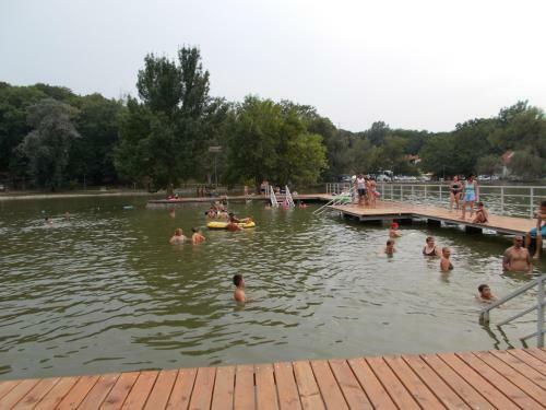 Bed & Breakfast Cseppk? Panzi�