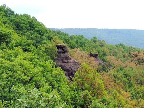 Bed & Breakfast Cseppk? Panzi�