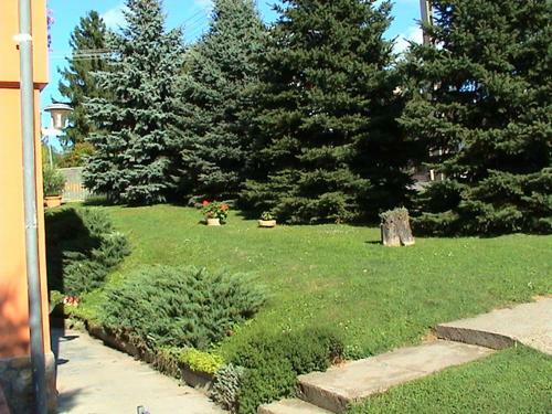 Bed & Breakfast Cseppk? Panzi�