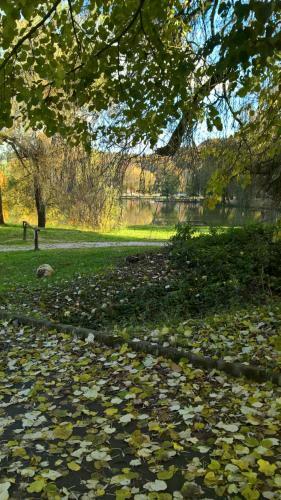 Bed & Breakfast Cseppk? Panzi�