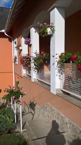 Bed & Breakfast Cseppk? Panzi�
