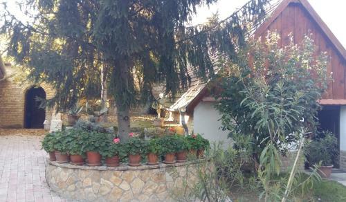Hostal Madar�sz Vend�gh�z