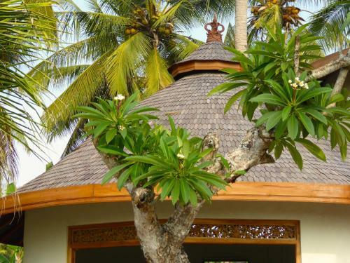Hotel Puri Dajuma Beach Eco-resort & Spa