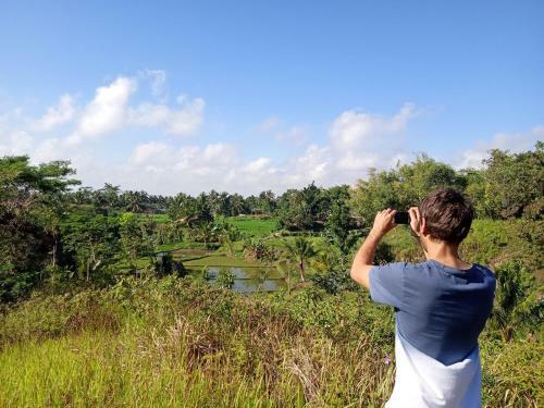 Tereng Wilis Jungle Inn