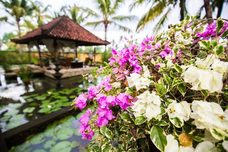 Hotel Vision Villa Resort