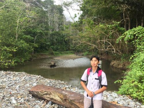 Adventure Homestay Meru Betiri