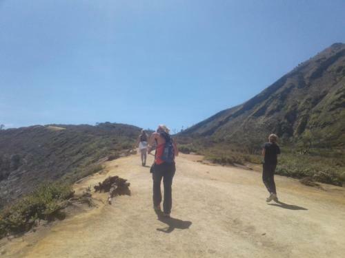 Bed & Breakfast Ijen Java Homestay