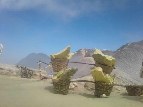 Bed & Breakfast Ijen Java Homestay