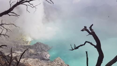 Bed & Breakfast Ijen Java Homestay