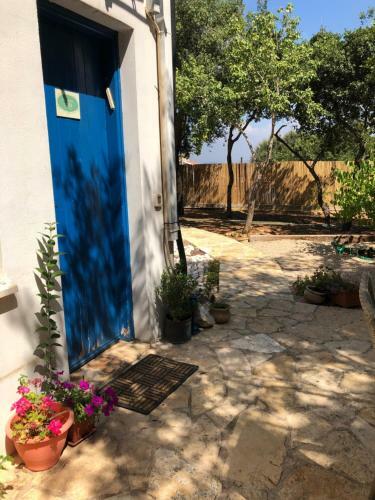 Hostal Netta's Place