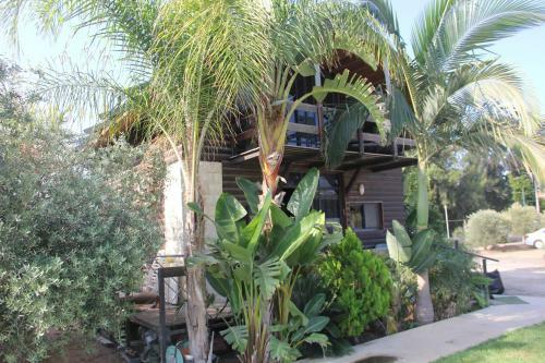 Lodge Bustan Hazait