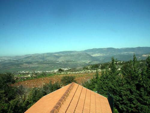 Cabin In The View