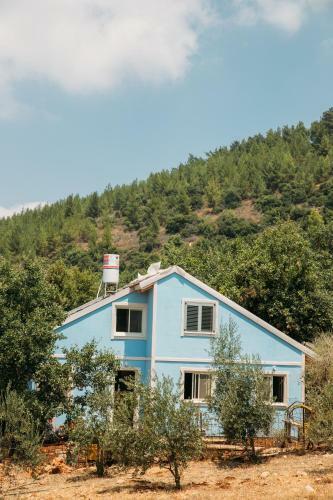 Lodge Blue House In The Woods- Amirim