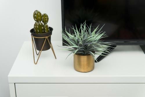 Apartamento Bauhaus Boutique By Tlv2rent