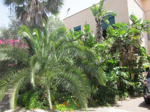 Apartamento Chrysler Residence