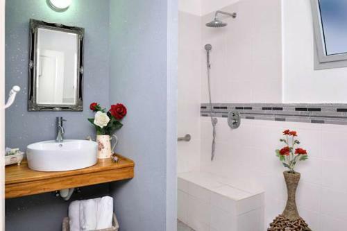 Lodge Hen Chalet & Suites In Had Nes