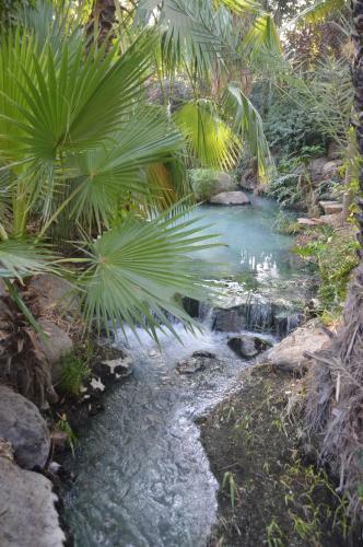 Hotel Spa Village