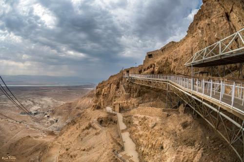Desert Picture