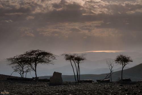 Desert Picture