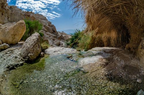 Desert Picture