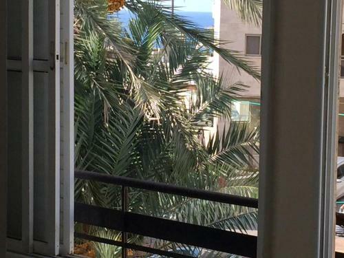 Hostal Cozy Private Rooms Near Beach And Kikar
