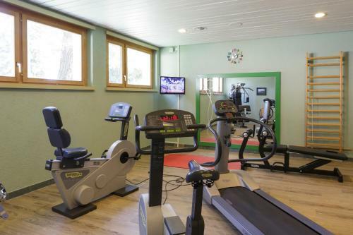 Hotel Alpine Dependance By Arenas Resort Valaisia