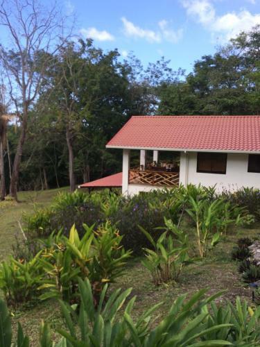 Royal Palm Villa