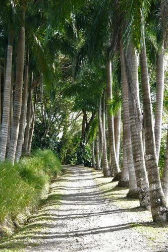 Royal Palm Villa