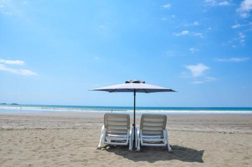 Apartamento La Paloma Blanca F1