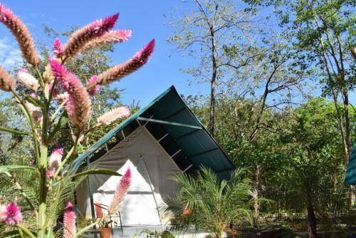Albergue Rupia Manzu