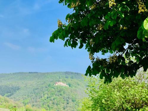 Apartamento Villa Mandelbl�te